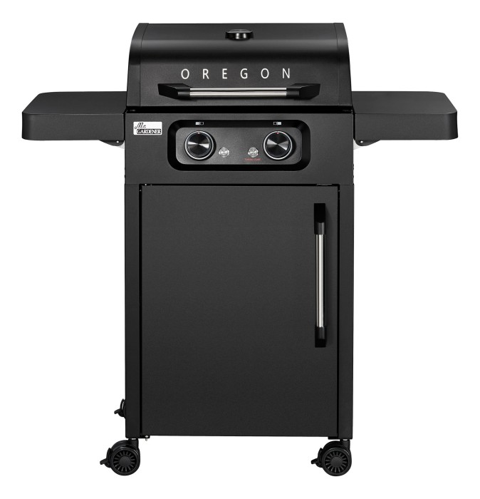 Mr. Gardener Elektrogrill Oregon, 50 x 39 cm, 4500 W, schwarz, 9751